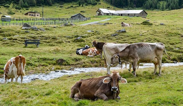 Who delivers propane to the Aromas and Las Lomas communities?